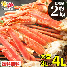 ボイル済み 本ずわいがに 脚 3L〜4L 1.6kg（総重量2kg） ズワイガニ ずわい蟹 ズワイ蟹 かに カニ カニ脚 蟹脚 足 ボイル 贈り物 お祝い のし対応 お中元 ギフト お取り寄せ