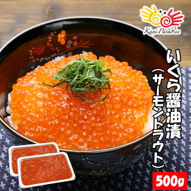 いくら醤油漬 (サーモントラウト 卵) 500g (250g×2パック入り) 北欧サーモン イクラ 小粒 海鮮 丼 手巻き ちらし 寿司 ギフト 贈り物 お祝い のし対応