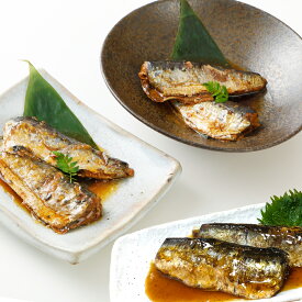 いわし煮魚 10尾 3種セット×各1パック(計30尾)) イワシ 鰯 生姜煮 みぞれ煮 梅肉煮 お手軽 温めるだけ 骨までまるごと 惣菜 おかず 冷凍 ギフト 贈り物 お祝い のし対応