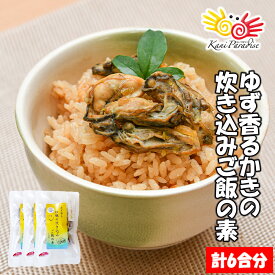 ゆず香るかきの炊き込みご飯 3パック（計6合分) 敬老の日 ギフト プレゼント 贈り物 お祝い のし対応 お取り寄せ