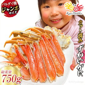 かに カニ 蟹 カット済 ずわいがに むき身セット 総重量750g（正味重量600g） かに鍋 ズワイガニ ずわい蟹 オオズワイガニ バルダイ ギフト 父の日 プレゼント 敬老の日