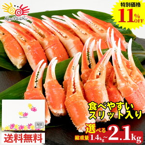 킢 kt܃Xbg ɒ I I   Jj {C CN  ɓ YCKj 蕨 j ̂Ή Ε ~Mtg