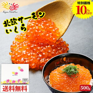 yX[p[Z[10%OFFIzݖ (T[gEg ) 500g (250g×2pbN) kT[ CN  CN  芪 炵 i 蕨 j ̂Ή Ε ~Mtg