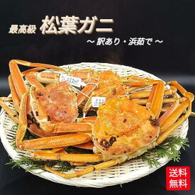 ズワイガニ 松葉ガニ 姿 ボイル 1.5kg 3枚 ～ 4枚 セット 未冷凍 訳あり 良品 足落ち 足折れ 松葉かに ずわいがに 松葉がに 浜茹で 蟹 かに カニ 産地直送 浜坂 鳥取県 境港 グルメ 自宅用 お買得 御祝 送料込 お得 セット販売 楽天最安値挑戦 ＼数量限定大幅値下げ中！／