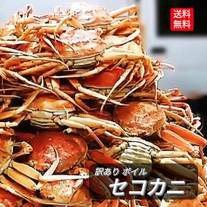 _30%OFFN[|L^ ZRKj p {C 3 6 10 12 15 20 30 TCY Kj bKj tKj e ZCRKj ZRJj    bKj Kj 