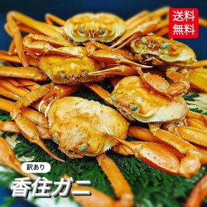 {CJj gYCKj ZKj p {C 5 ZI VN yg莟攭z  I 󂠂 g킢 킢 gYC g g YCKj 360g 䥂ŃJj l䥂 䥂 