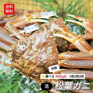 YCKj tKj p  400g 500g 1 2 3  󂠂   ܂ t t tJj Ⓚ I  Jj Yn Y   ؂   ʉ