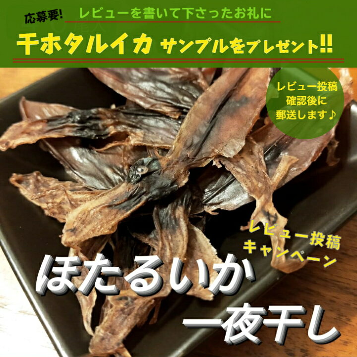 楽天市場 楽天スーパーsale 10 Off 生 すっぽん 活すっぽん スッポン 鼈 活 1kg 以上 生体 亀 カメ 生きたまま発送 国産 天然 大サイズ 大型 大ぶり 養殖じゃない 最高級 希少品 活け 未冷凍 4 5人前 1匹 新鮮 すっぽん鍋 スープ だし スタミナ コラーゲン