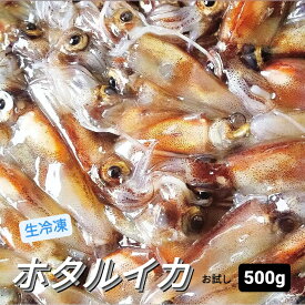 A級 冷凍 生 ほたるいか 朝獲れ ホタルイカ 500g 1パック 少なめ 新物 2024年 お試し お得用 小分け 薄型 真空パック 生冷凍 山陰浜坂産 蛍烏賊 旬の食材 お刺身 しゃぶしゃぶ用 新鮮 鮮度抜群 期間限定 ファミリーパック 母の日 父の日 送料別