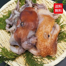 小だこ 小タコ 冷凍 1kg 以上 500g2P 生冷凍 コダコ 手長タコ 大小混ざり お得用 小分け 小たこ 小ダコ こだこ 小蛸 タコ たこ 日本海産 少なめ 新鮮 鮮度抜群 たこ焼き タコ唐揚げ 酢の物 炊き込みご飯 煮付け アヒージョ パスタにも◎お中元 残暑見舞い ギフト 送料込み