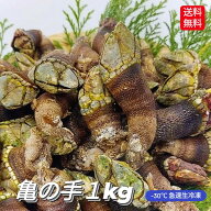 冷凍 亀の手 カメノテ カメの手 かめのて 1kg 500g×2 珍味 サイズ混ざり 急速冷凍 高級 希少 ペルセベ …