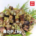 2025 新物 亀の手 カメノテ 1kg カメの手 かめのて 生 珍味 採れたて 新鮮 高級 希少 ペルセベ ペルセベス 簡単レシピ付き フレッシュ 未冷凍 美味しい サイズ混ざり 日本海産 鷹の爪 ゴジラ 酒の肴 アテ つまみ 甲殻類 送料込み