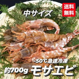 楽天市場 ガス海老の通販 楽天市場 ガス海老の通販