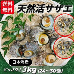 さざえ 貝の人気商品 通販 価格比較 価格 Com
