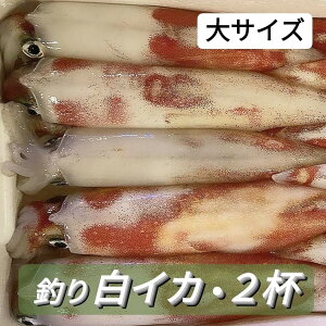 ヤリイカ 冷凍の人気商品 通販 価格比較 価格 Com ヤリイカ 冷凍の人気商品 通販 価格比較 価格 Com