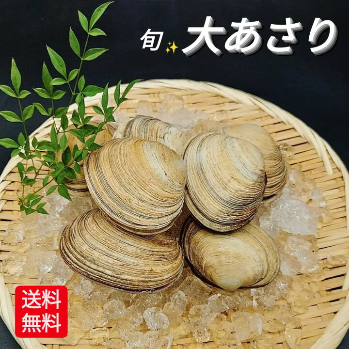 楽天市場 大アサリ ウチムラサキ 貝 オオアサリ 天然 活 大粒１kg 5 7個入 大サイズ q 海鮮バーベキューにも 日本海 愛知県 三河湾 新鮮 グルメ 肴 アテ 誕生日 プレゼント 贈答品 敬老の日 お祝い お中元 お歳暮 送料無料 レビュー 投稿 キャンペーン 対象 干し