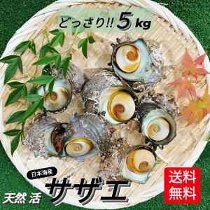 TUG  VR  5kg ȏ 25`65 BBQ CN o[xL[ TUG  Ɩp VN h L O ̂| hg lĂ ڏĂ Ă ُĂ  Ae a v[g i