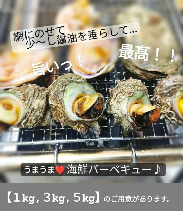 楽天市場 サザエ さざえ 楽天 最安値 挑戦 天然 活 ３kg以上 15 39個入 q バーベキューにも 大量 新鮮 栄螺 貝 グルメ 肝が旨い 刺身 浜焼き つぼ焼き 壺焼き 壷焼き 肴 アテ 誕生日 敬老の日 プレゼント 贈答品 お祝い クール便 レビュー 投稿 キャンペーン