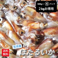 生 ホタルイカ 2kg 500g×4P 冷凍 【予約】 2セットご購入で1kg増量5kgでお届け 蛍烏賊 朝獲れ ほたるい…