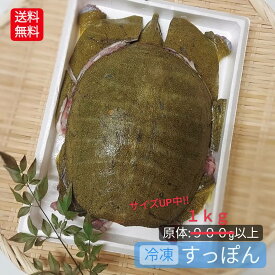 ＼予約／すっぽん スッポン 捌き 鼈 選べる 冷凍 冷蔵 1kg 以上 捌き済み 解体 下処理済み 説明書付き すっぽん料理 スッポン鍋 すっぽん鍋 亀 カメ 国産 天然 養殖じゃない 最高級 希少品 4〜5人前 1匹 1本釣り 新鮮 黄金だし コラーゲン 滋養強壮 送料込 入荷次第の発送