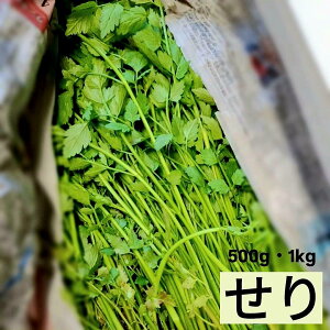 ���� �V�R �R�� �Z�� ������ 500g 1kg �召���� �o���l�� ���� �����{ �V�N �N�x���Q ���̂� �̂ꂽ�� ���Ԍ��� �t�̎R�� �쑐 ���_�� ���엿 �I�[�K�j�b�N �L�@