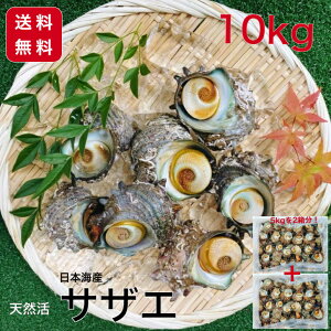 TUG  VR  10kg 50`130O BBQ CN o[xL[ TUG  Ɩp e VN h L O ̂| hg lĂ ڏĂ Ă ُĂ  Ae a v[g 