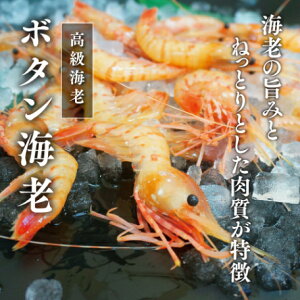 {^Gr CV Gr  500g hg  Â ڂ񂦂 {^CV ÊCV hg Â e CV    Mtg Ⓚ hV̓ CN ґ ƒp  hgp