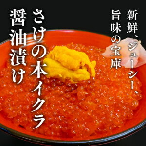  CN kCY ݖЂ 500g CN  i  O Mtg v[g p j a j hV̓ ґ  Hi Ⓚ 
