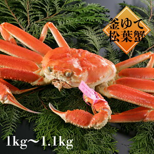 yzy1111`1130^115`321̂͂z700g-800g 800g-900g 900g-1kg 1kg-1.1kg 䥂ŏtKj ËREĎRElKj̊ŏtKj𒼑ɂAĂJjAbĂA