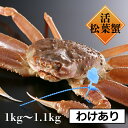 活 松葉ガニ 訳あり 700g～1.1kg 【1/15～3/21お届け】 兵庫県産 送料無料 生 冷蔵 松葉がに 松葉蟹 かに カニ 蟹 ずわいがに ズワイガニ かに一番