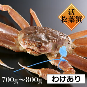 活 カニの人気商品 通販 価格比較 価格 Com 活 カニの人気商品 通販 価格比較 価格 Com