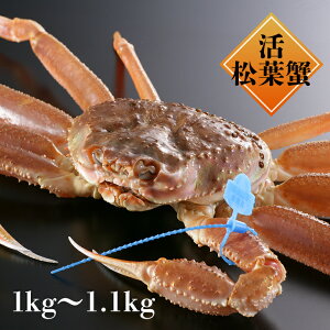 yzy121`1220̂͂z ɌY̊tKj𒼑 700g-800g 800g-900g 900g-1kg 1kg-1.1kgɂAĂJjAbĂA䥂ł