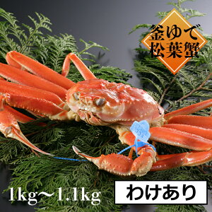 yzy121`1220̂͂zy󂠂w1{z䥂ŏtKj 700g-800g 800g-900g 900g-1kg 1kg-1.1kg s{Y͕ɌY̊ŏtKj𒼑ɂAĂJjAbĂA