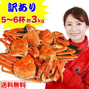 ňlɒ풆ylłE󂠂z{C킢p5`6ti3kgj