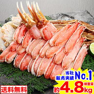 3L〜2L生ずわい半むき身満足セット 4kg超（総重量約4.8kg）【送料無料】［ 剥き身 カット済み 生ずわい …