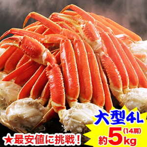 【エントリーで必ずポイント10倍!】★最安値に挑戦!大型4Lボイルずわいがに肩脚 14〜16肩(約5kg) 茹で ボイルずわい ボイルズワイ ボイルずわい蟹 ずわい蟹 ズワイ蟹 ]【12/4 20:00〜12/11 01:59まで】