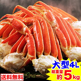 最安値に挑戦中！★大型4Lボイルずわいがに肩脚14〜16肩(総重量約5kg) 茹で ボイルずわい ボイルズワイ ボイルずわい蟹 ずわい蟹 ズワイ蟹 ］