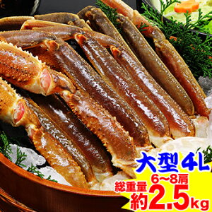 ^4L킢Ɍr 6`8idʖ2.5kgjyzm YCKj 킢 킢I r̂ 킢I YCI YCKj  n