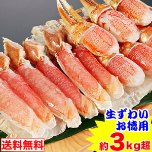 킢IނgZbg 3kgidʖ3.6kgjm g 킢 YC 킢I YCI 킢I YCI n