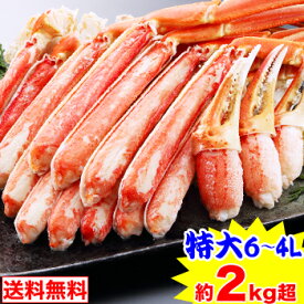 楽天市場 カニ 本舗の通販