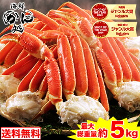 【DEAL10%ポイントバック!!】最安値に挑戦中！★最大大型5Lボイルずわいがに肩脚(総重量約5kg) 茹で ボイルずわい ボイルズワイ ボイルずわい蟹 ずわい蟹 ズワイ蟹 ］
