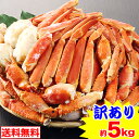 訳あり折れボイルずわいがに（約5kg）［ 脚肩 ボイル済み 茹で ボイルずわい ボイルズワイ ボイルずわい蟹 ずわい蟹 ズワイ蟹 ズワイガニ ズワイ ］