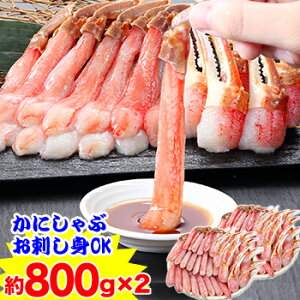 yhgOKzL`M킢r܂ނg i800gj×2m Hp YCKj 킢 YCI 킢I |[V kނ r̂ hg@ɂԁn