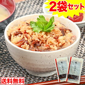 【メール便】牛ごぼう飯の混ぜ込みご飯の素　2袋セット