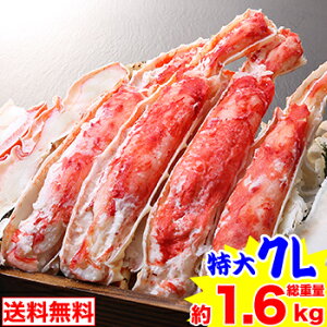 y|CgK10{IzԌ!!N[|12,900~7L{CΔނgZbg1.4kgidʖ1.6kgjy11/30 00:00-23:59Gg[Łz