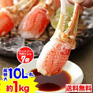 y|CgK7{IzyhgOKz10L`8L킢܂ނg15`22{i1kgjm Hp YCKj 킢 YCI 킢I kނ ܂̂ hg@ɂԁny11/14 20:00