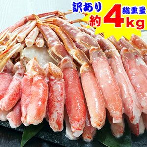 킢󂠂lߍ킹Zbg2kg×2m g 킢 YC 킢I YCI 킢I YCI n