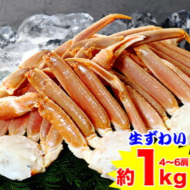【お買い得】生ずわい肩脚4〜6肩（1kg超）［ 生ズワイガニ 生ずわいがに 生ずわい蟹 肩脚のみ ずわい蟹 ズワイ蟹 ズワイガニ かに ］