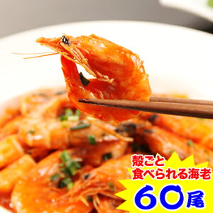 y|CgK5{IzysvzkƐHׂCV60(800g)y12/11 01:59Gg[Łz