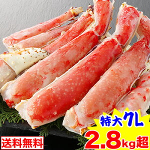 Ԍ!!N[|20,900~7LΔނgZbg2.8kgidʖ3.2kgjyzm ^oKj ΊI   Jj ΊI ^oKj ^o n